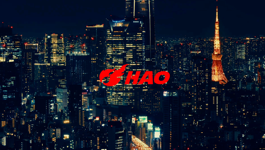 動画を読み込む: 